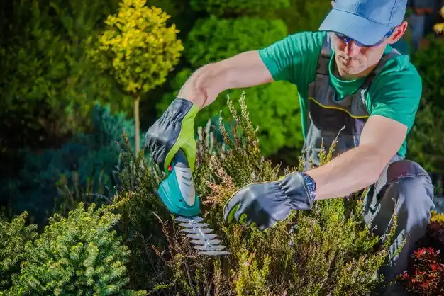 landscaping services Streetsboro